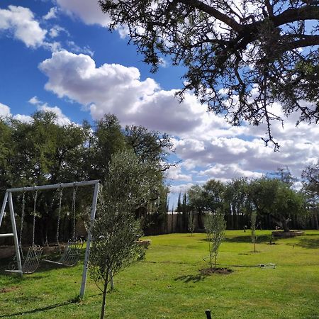 Villa Iyad エッサウィラ エクステリア 写真